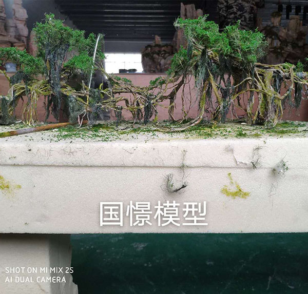 常宁市场景模型