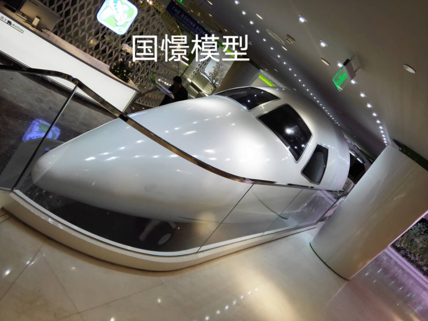 常宁市大型仿真模型道具