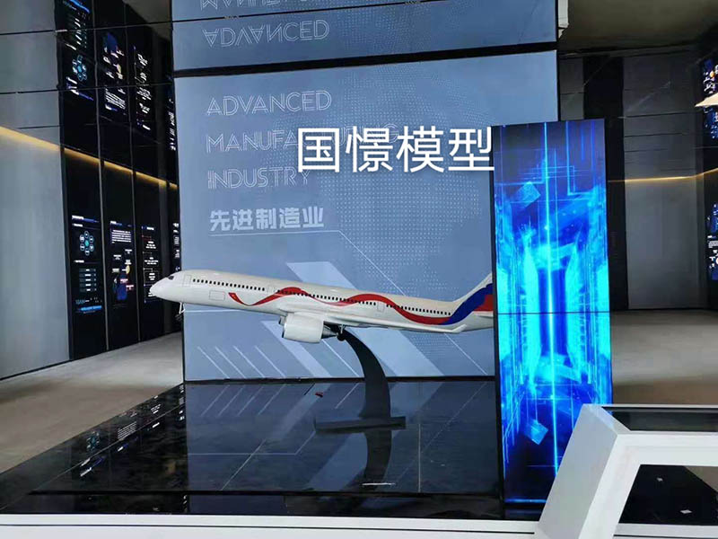 常宁市飞机模型