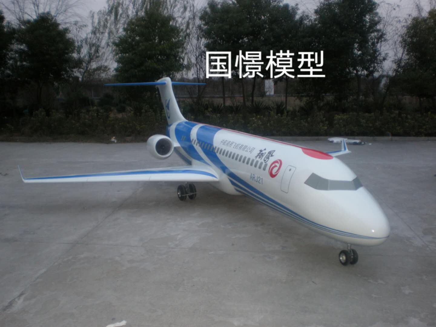 常宁市飞机模型