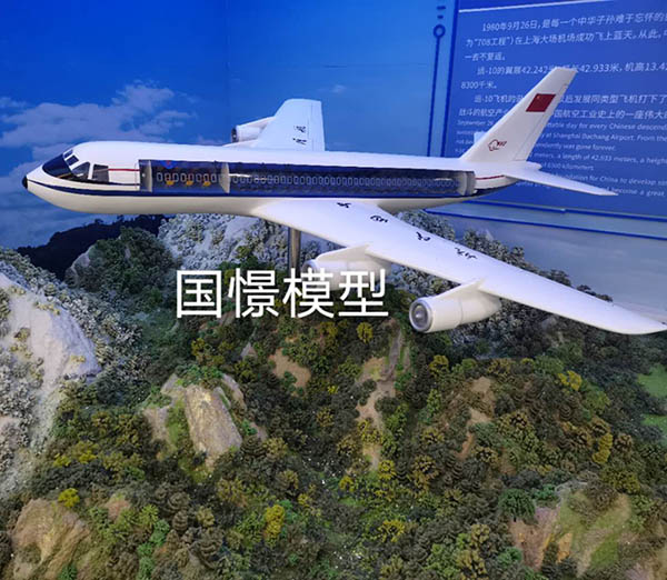 常宁市飞机模型