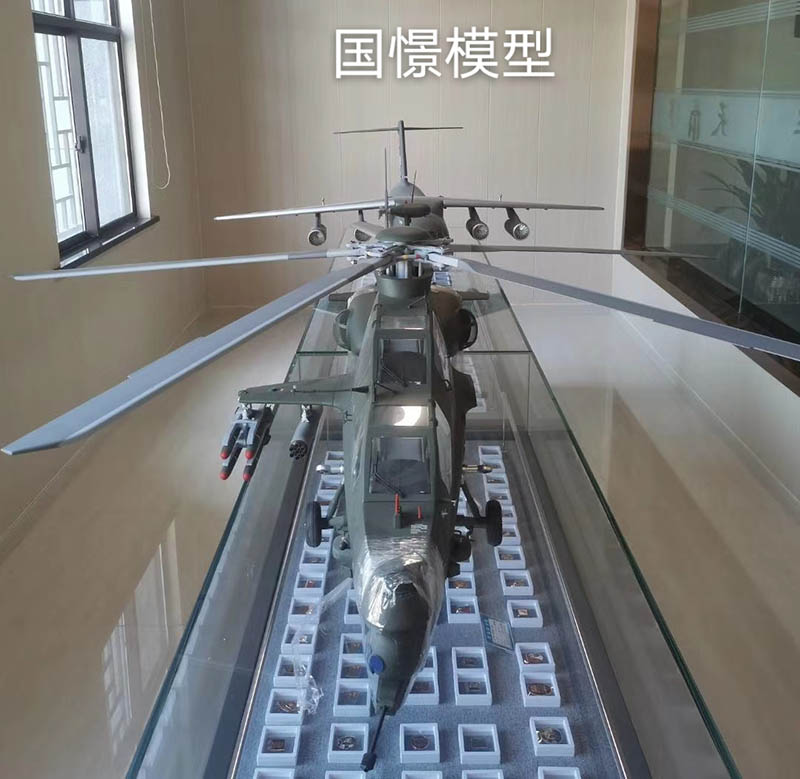 常宁市飞机模型