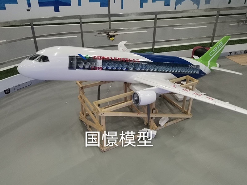 常宁市飞机模型