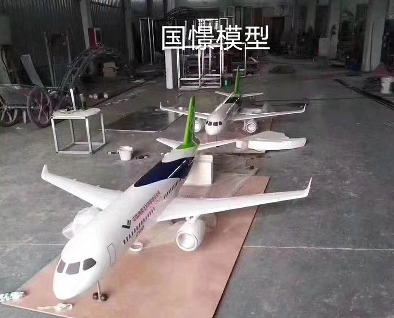 常宁市飞机模型
