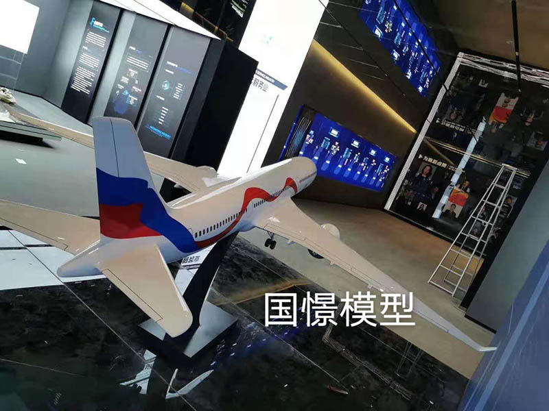 常宁市飞机模型