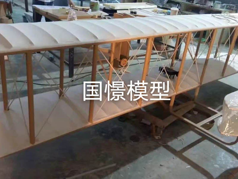 常宁市飞机模型