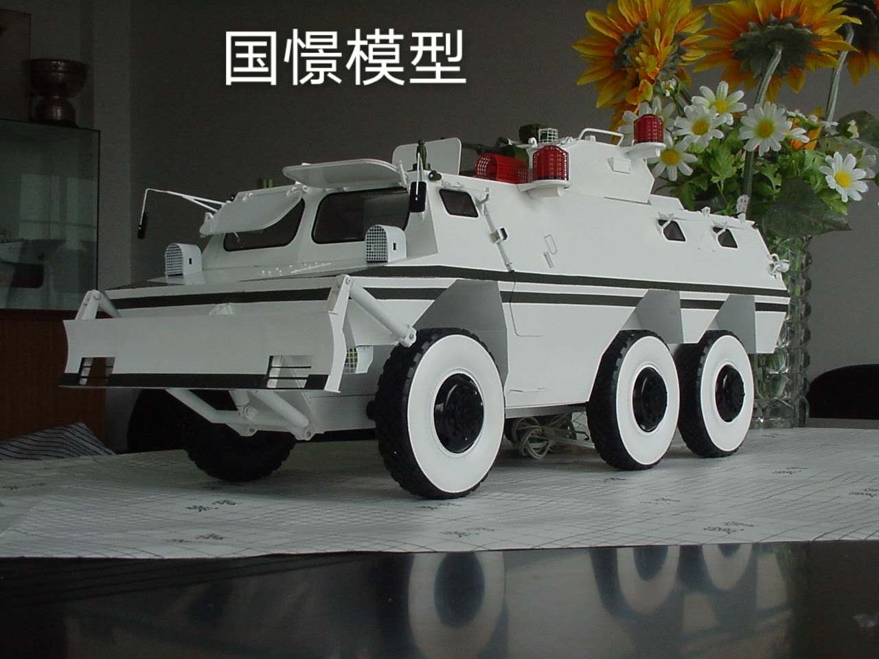 常宁市军事模型