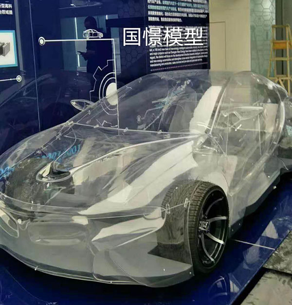 常宁市透明车模型