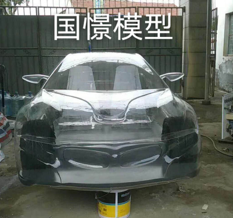常宁市透明车模型