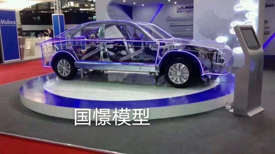 常宁市透明车模型