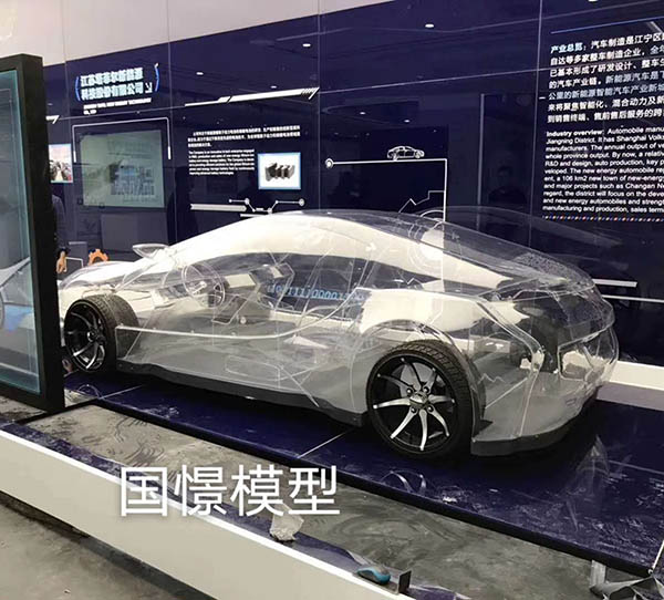 常宁市透明车模型