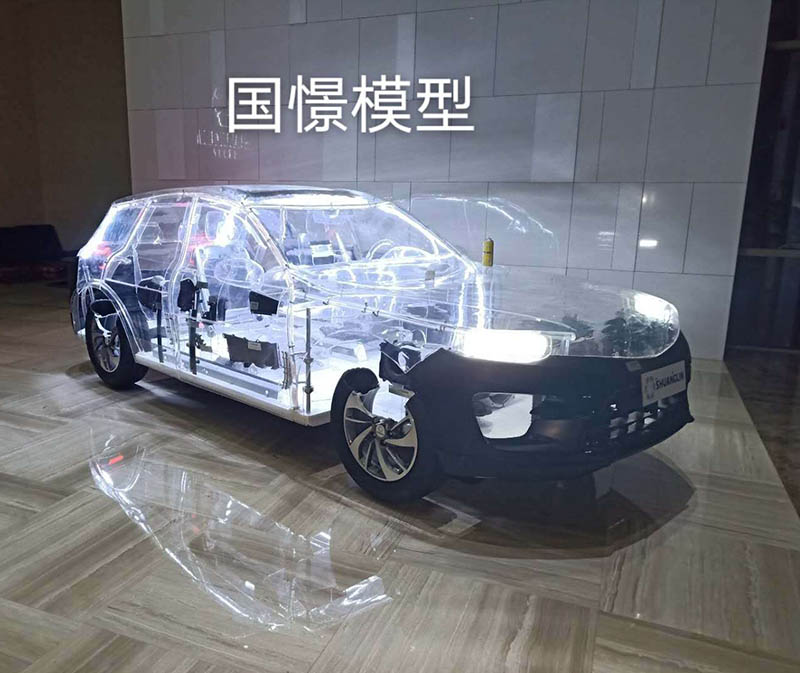 常宁市透明车模型